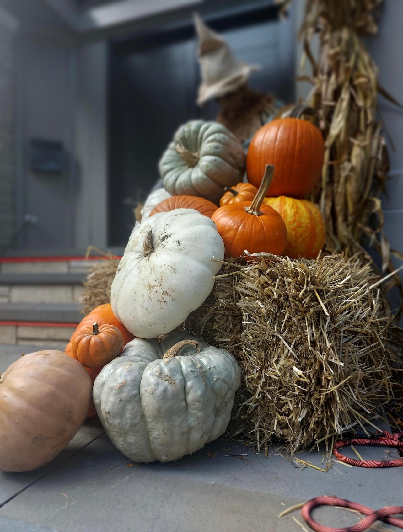 The Golden Harvest Royale