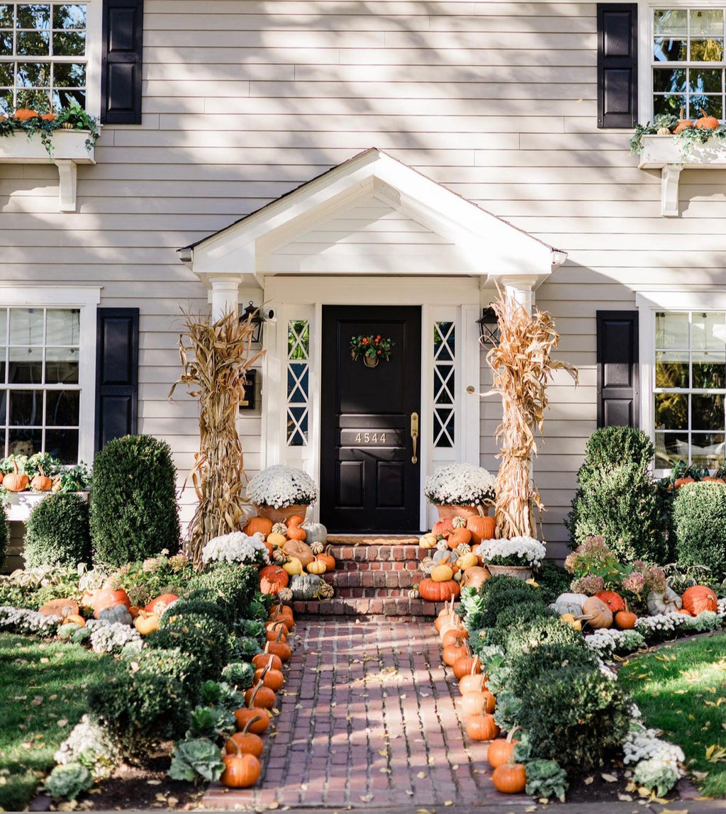 The Grand Pumpkin Display