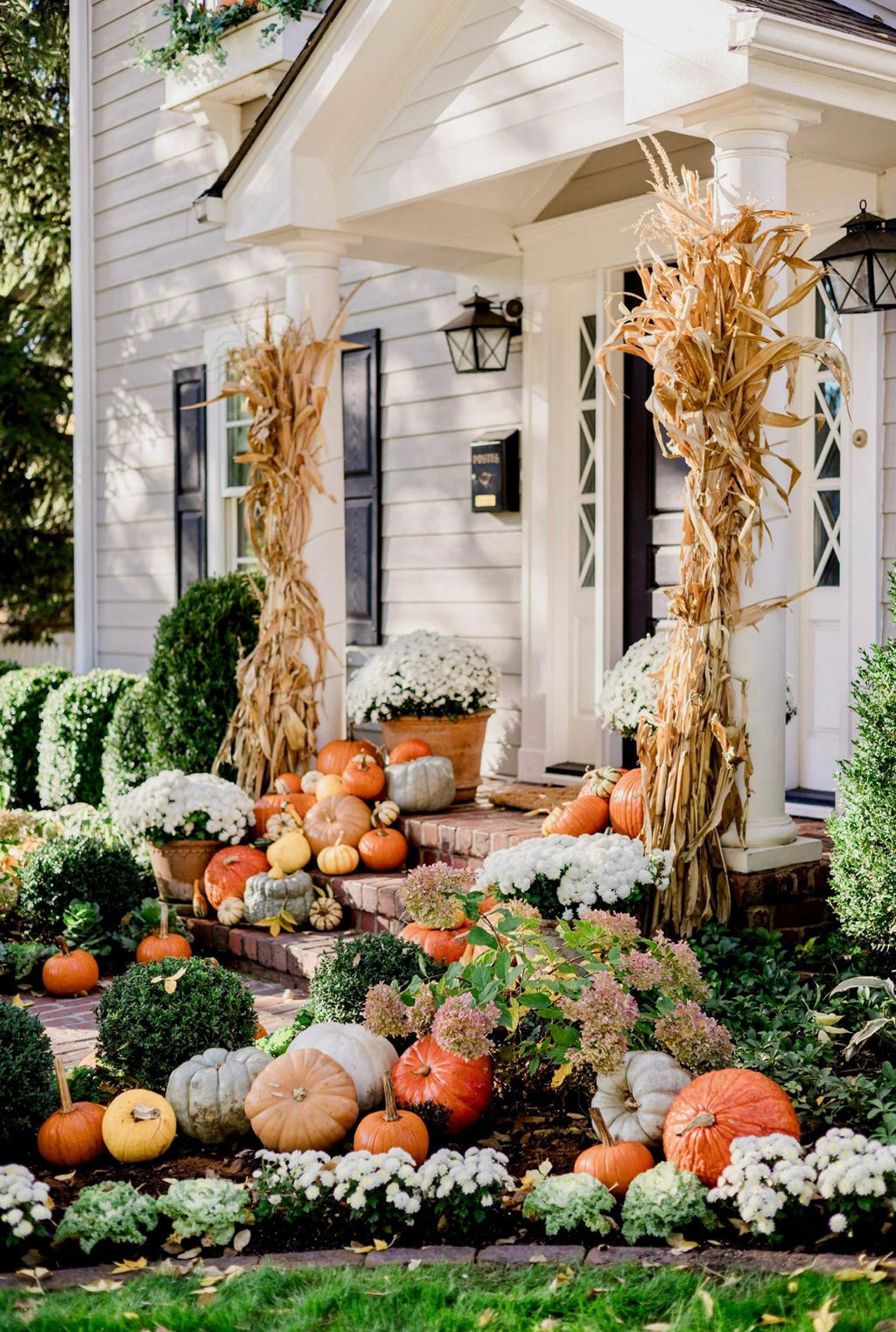 Front porch decorated with pumpkins, corn stalks, and flowers in front of a house.