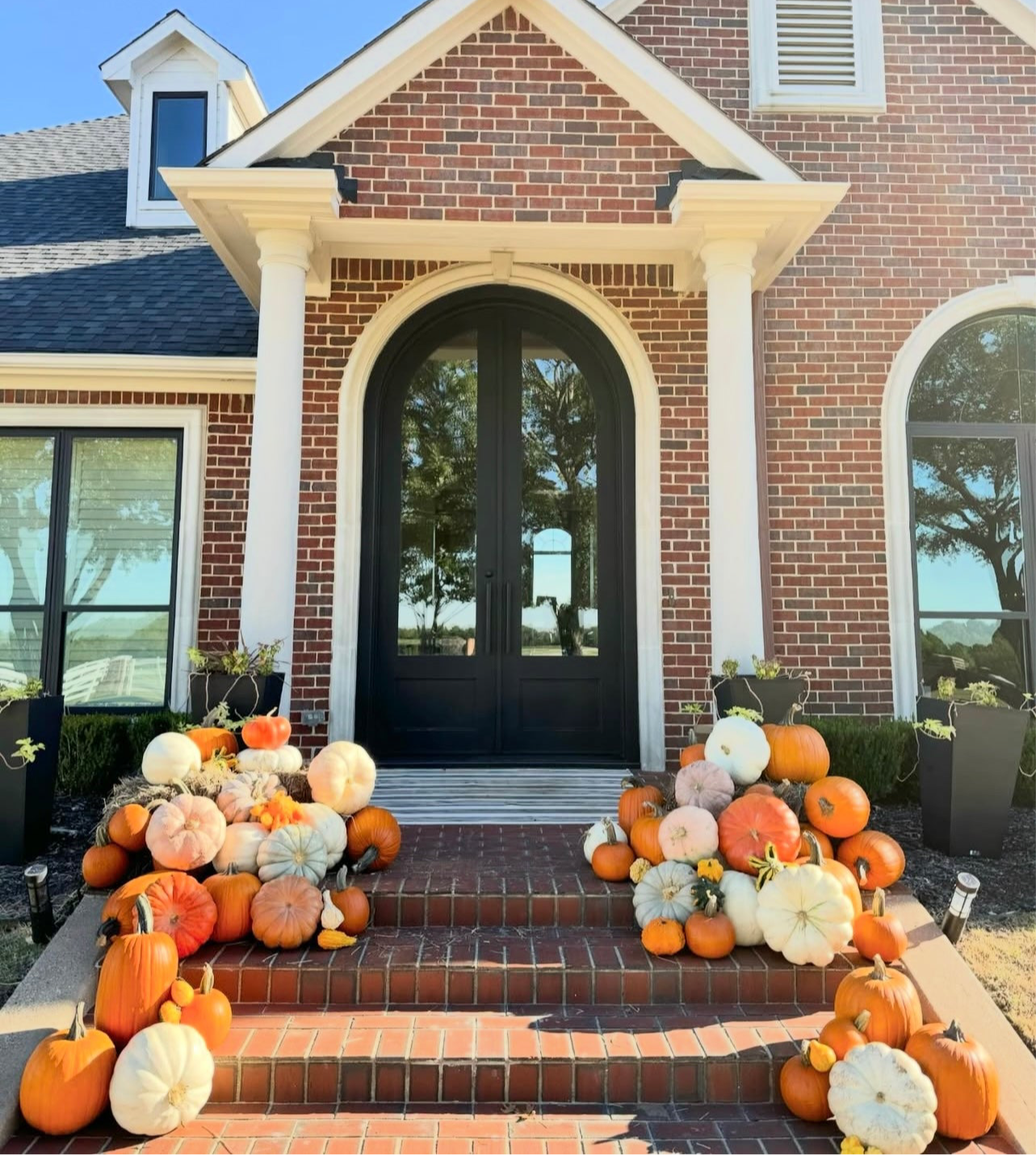 The Grand Pumpkin Display