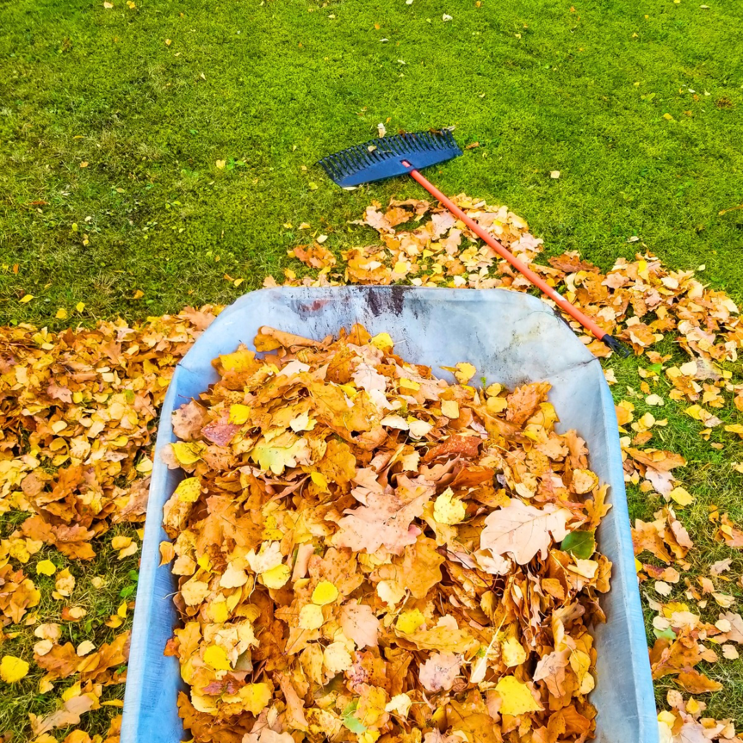 Display Removal & Disposal