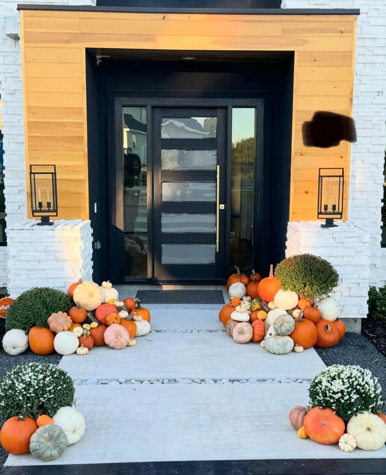 The Grand Pumpkin Display